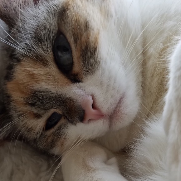 Meet your Posher, Margaret - Picture 1 of 1